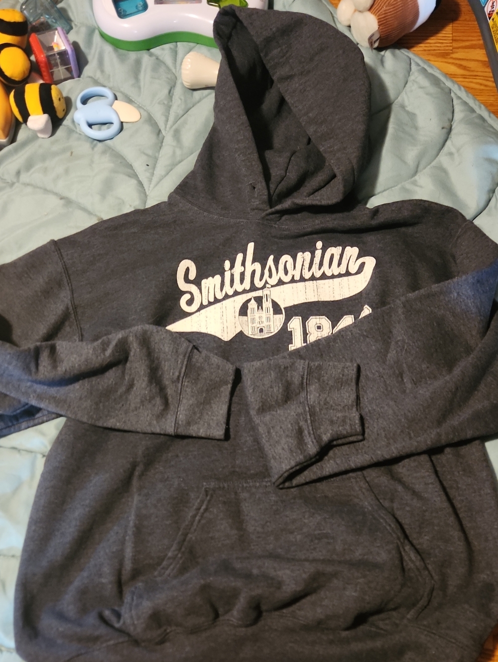Smithsonian Charcoal Gray Pullover Hoodie